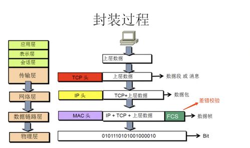 计算机网络01 概述与系统工程服务