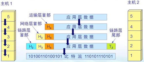 计算机网络概述与系统工程服务 构建数字时代的连接基石